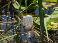 Zo verstoren microplastics je hormonen als vrouw